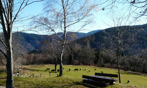 Reesbauernhof (Oberried-Hofsgrund) Reesbauernhof (Oberried-Hofsgrund)