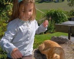 Jockenhof St. Peter (St. Peter) Jockenhof St. Peter (St. Peter)