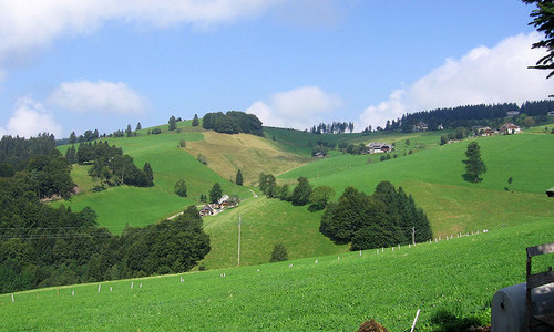 Harzlochhof Münstertal (Münstertal) Harzlochhof Münstertal (Münstertal)