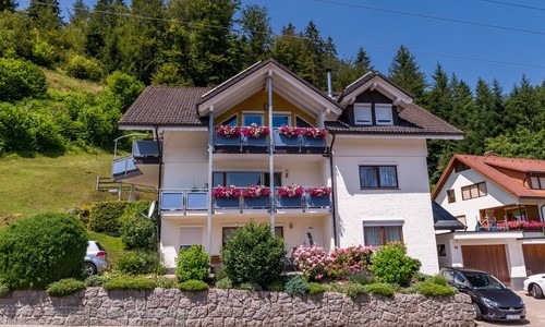 Ferienwohnung Haus Böhler (Fröhnd) Ferienwohnung Haus Böhler (Fröhnd)