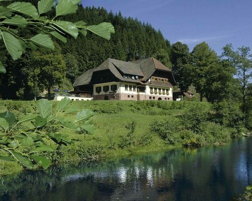 Hotel Ochsenwirtshof (Bad Rippoldsau-Schapbach) Hotel Ochsenwirtshof (Bad Rippoldsau-Schapbach)