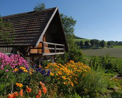 Jockenhof St. Peter (St. Peter) Jockenhof St. Peter (St. Peter)