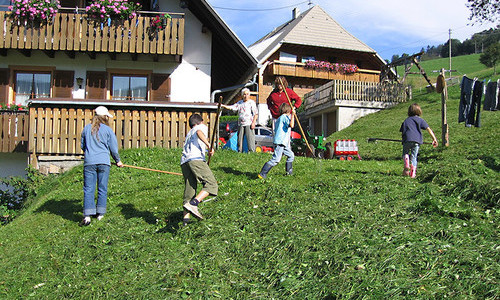 Harzlochhof Münstertal (Münstertal) Harzlochhof Münstertal (Münstertal)