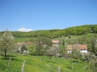 (Bildnachweis: Mit freundlicher Genehmigung der Stadt Albbruck) (Bildnachweis: Mit freundlicher Genehmigung der Stadt Albbruck)