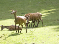 (Bildnachweis: Stadt Bad Säckingen, Tourismus- und Kulturamt) (Bildnachweis: Stadt Bad Säckingen, Tourismus- und Kulturamt)