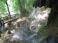 (Bildnachweis: Mit freundlicher Genehmigung der Touristinformation Bonndorf ) (Bildnachweis: Mit freundlicher Genehmigung der Touristinformation Bonndorf )