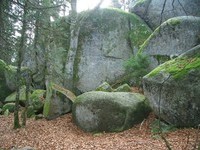 (Bildnachweis: Stadt Furtwangen im Schwarzwald) (Bildnachweis: Stadt Furtwangen im Schwarzwald)