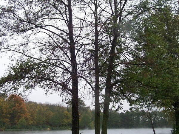 Copyright: (Bildrechte Gemeinde Malterdingen) Copyright: (Bildrechte Gemeinde Malterdingen)