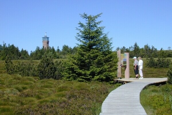 Grindepfad Bildnachweis: Mit freundlicher Genehmigung der Tourist-Info Seebach Grindepfad Bildnachweis: Mit freundlicher Genehmigung der Tourist-Info Seebach