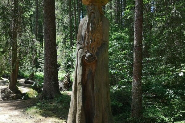 Zauberwaldpfad Bernau-Oberlehen Bildnachweis: 4ws-netdesign GbR Zauberwaldpfad Bernau-Oberlehen Bildnachweis: 4ws-netdesign GbR