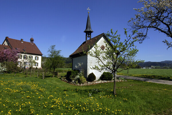 Frühling im Breitehof im Attental Bildnachweis: Tourist-Information Dreisamtal Frühling im Breitehof im Attental Bildnachweis: Tourist-Information Dreisamtal