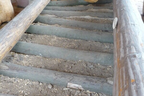 Wald-Kultur-Haus Bildnachweis: Tourist-Information Bad Rippoldsau-Schapbach - Josef Oehler Wald-Kultur-Haus Bildnachweis: Tourist-Information Bad Rippoldsau-Schapbach - Josef Oehler