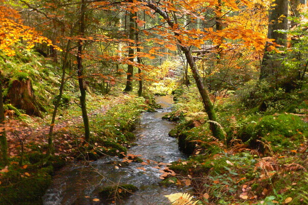 Bildnachweis: Gemeinde Calw Bildnachweis: Gemeinde Calw