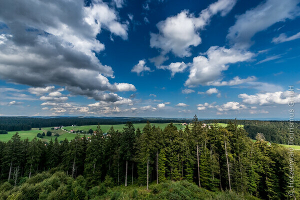 Ausblick vom Gugelturm in Herrischried Bildnachweis: Mit freundlicher Genehmigung der Hotzenwald Tourismus GmbH Ausblick vom Gugelturm in Herrischried Bildnachweis: Mit freundlicher Genehmigung der Hotzenwald Tourismus GmbH
