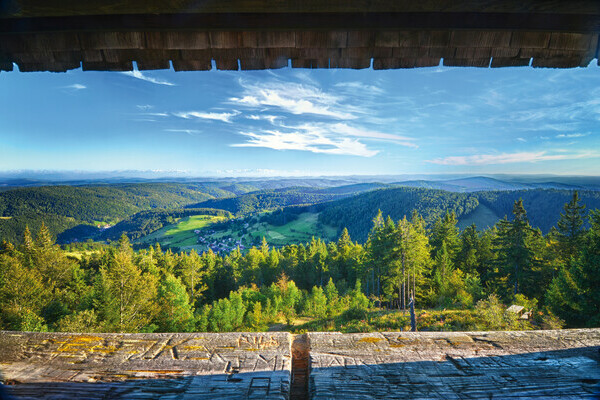 Ausblick vom Hochkopfturm Bildnachweis: Mit freundlicher Genehmigung der Gemeinde Todtmoos Ausblick vom Hochkopfturm Bildnachweis: Mit freundlicher Genehmigung der Gemeinde Todtmoos