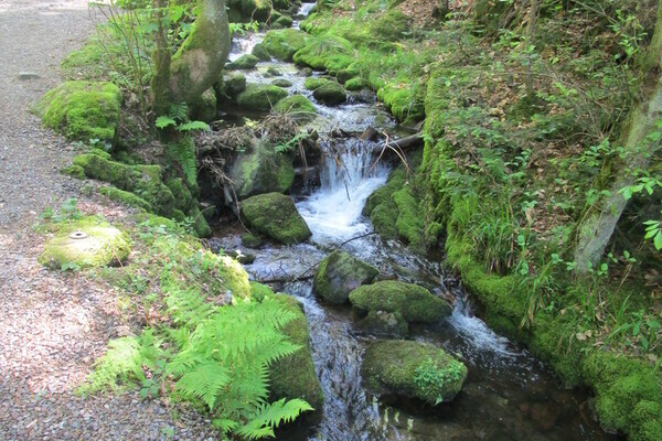 Gottschlägbach Bildnachweis: Tourist-Info Ottenhöfen Gottschlägbach Bildnachweis: Tourist-Info Ottenhöfen