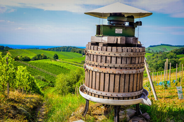 Weinstadtführung Offenburg Bildnachweis: Stadt Offenburg Weinstadtführung Offenburg Bildnachweis: Stadt Offenburg