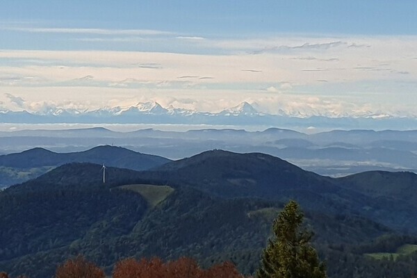 Bildnachweis: 4Ws Netdesign Bildnachweis: 4Ws Netdesign